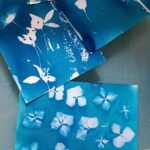 cyanotype -  9/07